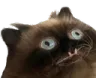 885405046844571699