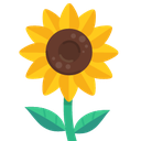 sunfood Discord emoji