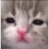Kevin