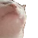 catJAM