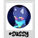 null_sussy null_sussy