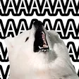 tdogAAAA