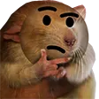 tdogHuh