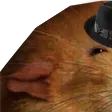 tdogRat1