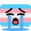sobtrans