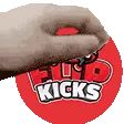 flipkickspet