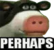perhaps