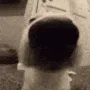 sniff