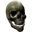 skullandroid
