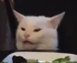 catconfused