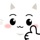 chonkthumbsup