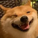 HappyDoge2