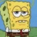r_spongeyeok r_spongeyeok