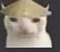 chinese_cat chinese_cat