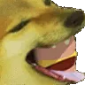 CHEEMSFAST1