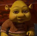 babyshrekwtf