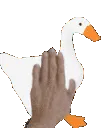 GoosePat