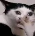 lmaoicannot