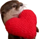 otterlove otterlove