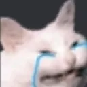 crycat