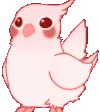 6861birb