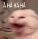 haha haha
