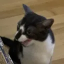 Jingleswah