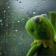 AGC_KermitRain Discord emoji