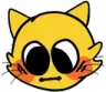 blushcat blushcat