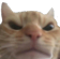 AGC_SwagcatAngry Discord emoji