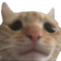 AGC_SwagcatSad Discord emoji