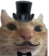 AGC_SwagcatSir Discord emoji