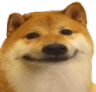 dogeHaHa dogeHaHa