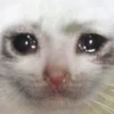 CryCat