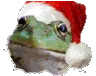 rgbSantaUncy