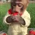 monkeyyy monkeyyy