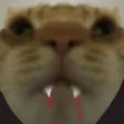 PogO