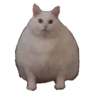 fatcat fatcat