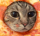PizzaCat Discord emoji
