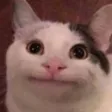 catOH