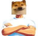 ficoo_stronk