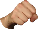 fist