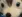 NickWhat