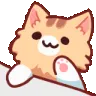 kittybongo