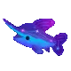galaxyseaanimal