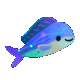 galaxyseaanimal