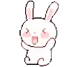 bunny bunny