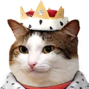 catQueen
