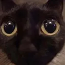 Jinx_Glare