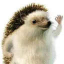 Oki